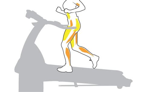 Stairmaster vs Treadmill: 9 Factors to Consider