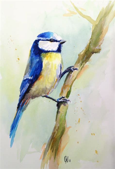 Aquarelle D Une M Sange Sur Une Branche Bird Realized With Watercolor