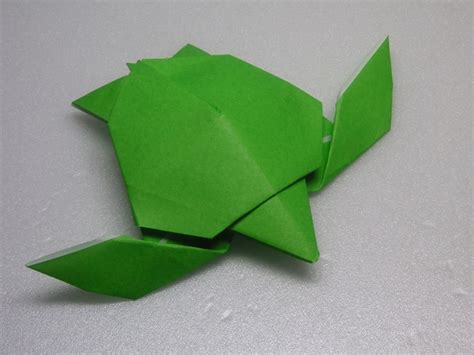 Jholanda Origami Tartaruga