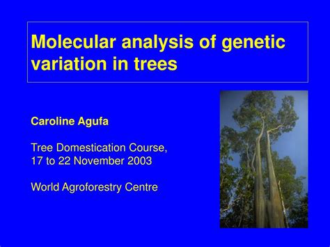 Ppt Molecular Analysis Of Genetic Variation In Trees Powerpoint