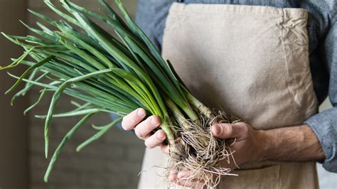 Scallions Vs Leeks