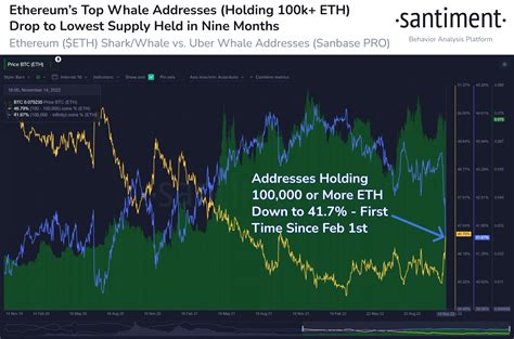 Ftx Hacker Started Stacking Eth Whale Holdings Reducing Money Wreckers