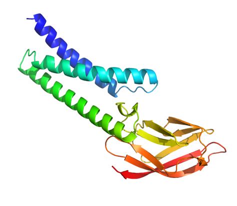 Computational predictions of protein structures associated with COVID ...