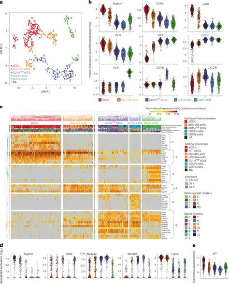 ScRNA Seq Confirmed Proper Identification Of PDCs PDC Like Cells And