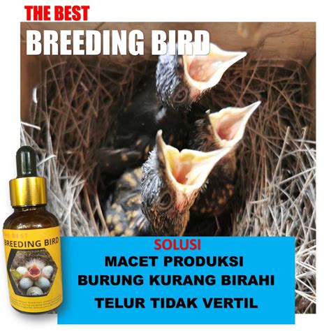 Jual Vitamin Ternak Burung Murai Isi Ml Atasi Macet Produksi Dan