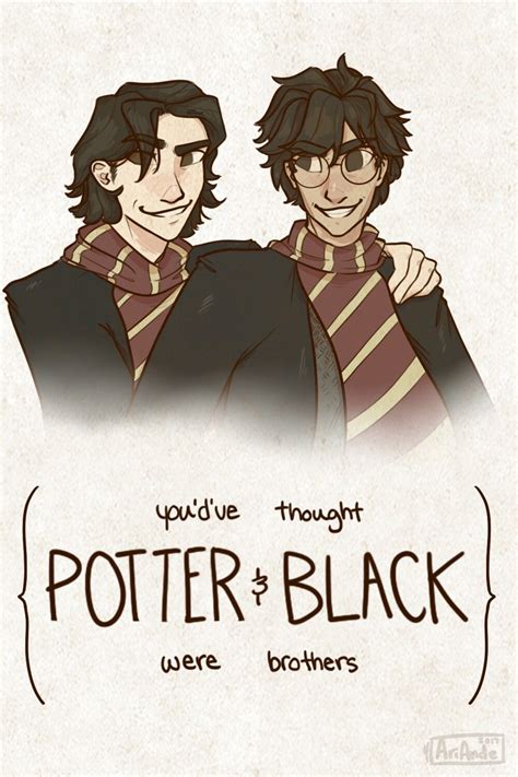 Sirius Black And James Potter Fan Art