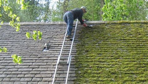 Moss Cleaning With A Power Wash Red Door Pro Wash