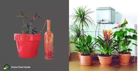 Best Method of Self Watering Indoor Plants While on Vacation