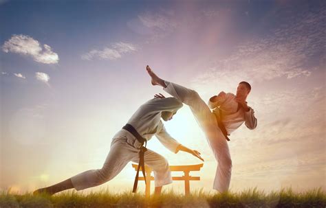 Estilos De Karate 7