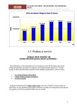 Analiza Selgros Micromediu Macromediu SWOT Proiect DOCX