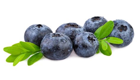 Blueberries On White Organic Blueberries With Leaf Isolated On White