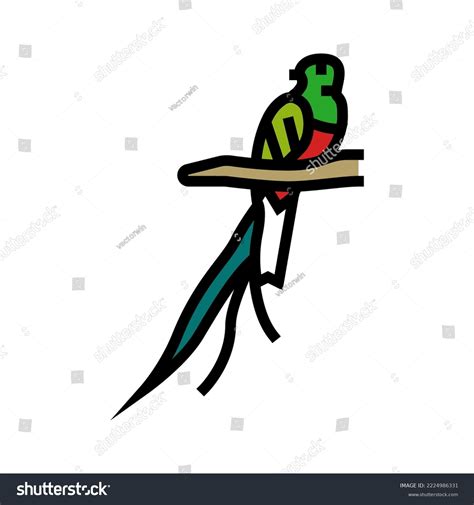 Quetzal Bird Exotic Color Icon Vector Stock Vector (Royalty Free ...