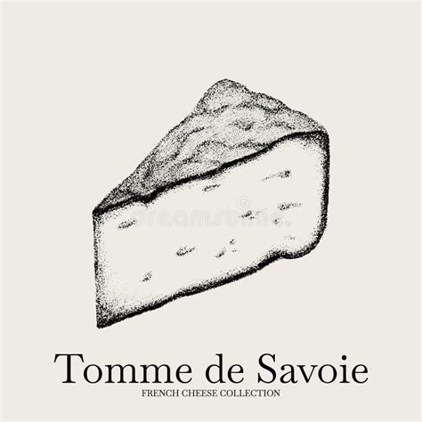 Vector Hand Drawn Illustration Of Tomme De Savoie Cheese Stock Vector