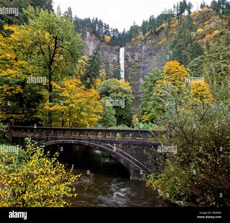 Multnomah Falls Along The Historic Columbia River Gorge Highway Stock