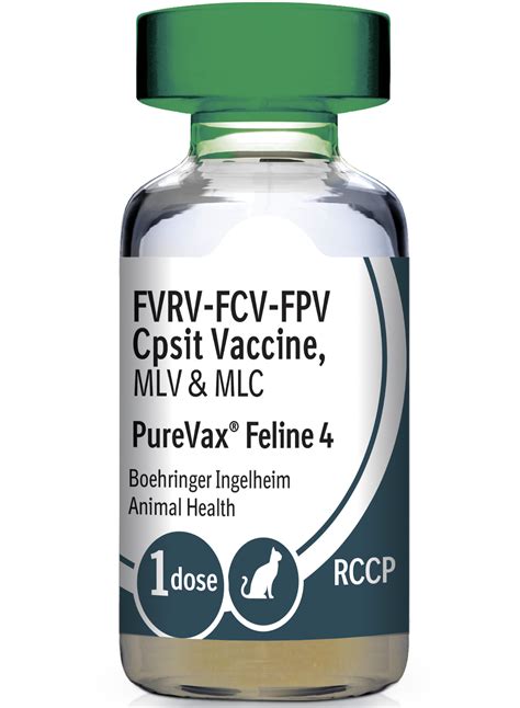 What are the Core Vaccines for your cat? — Fluffydolls Catfe