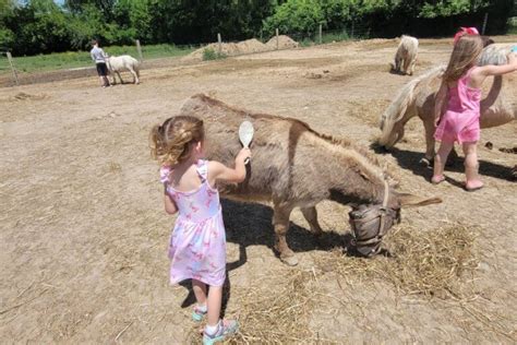 Plan A Visit To Carousel Acres - LittleGuide Detroit