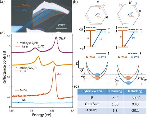 Figure From Moir Lattice Induced Formation And Tuning Of Hybrid