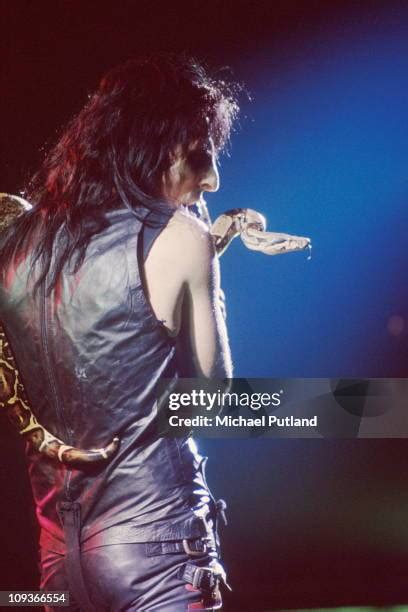 177 Alice Cooper 1972 Photos And High Res Pictures Getty Images