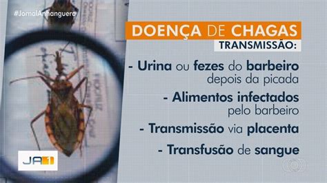 Ja 1ª Edição Doença De Chagas Tem Média De 750 Mortes Por Ano Em