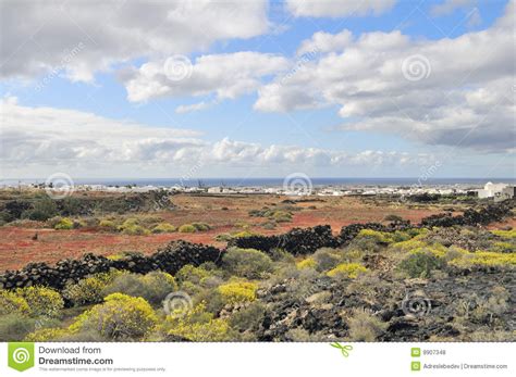 Landscape Of Lanzarote Island Stock Photo Image Of Islands Landscape