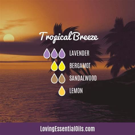 12 Essential Oils Diffuser Benefits for Health & Wellness | Essential oil diffuser benefits ...