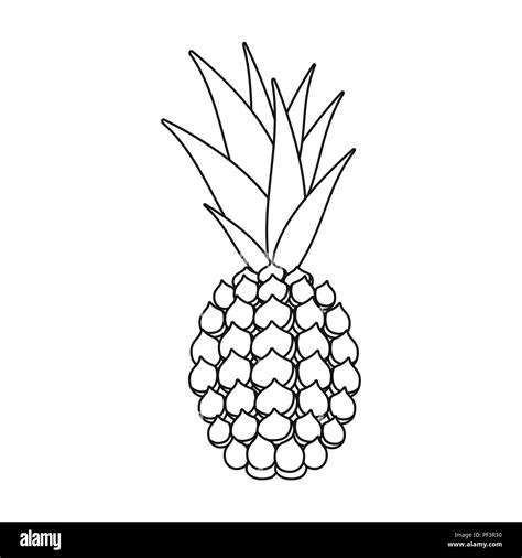 Icône style du contour en ananas isolé sur fond blanc Illustration