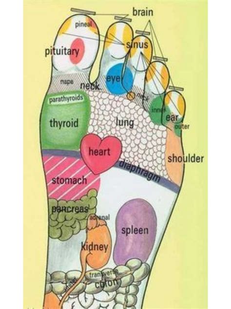 FOOT REFLEXOLOGY - Etsy