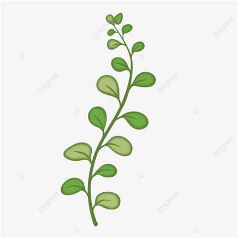 small green leaf small leaf green leaf leaves png transparent