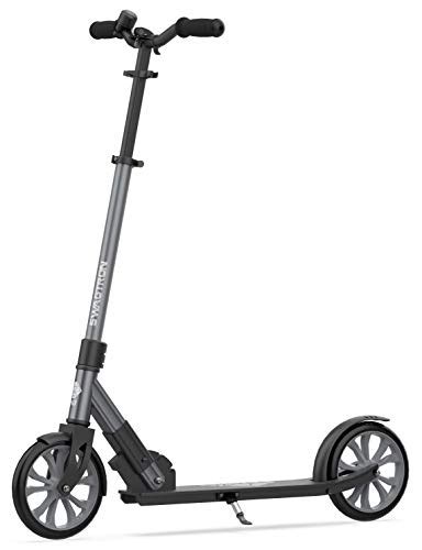 30 Best Adult Kick Scooters [ 2019 Reviews ] – MyProScooter