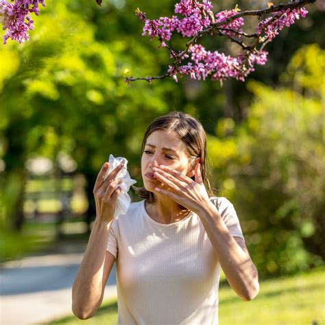 Hay Fever Vs Seasonal Allergies Understanding The Differences