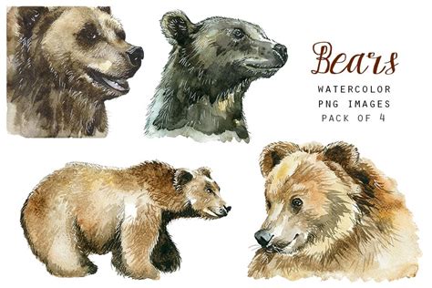 Watercolor Bears Clipart Photoshop Graphics ~ Creative Market