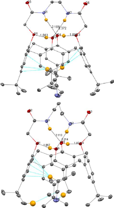 The Calixarene Molecule With Included Ch 3 Cn Found In The Crystal