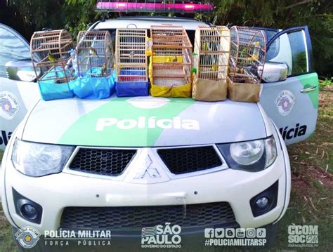 Policia Ambiental Resgata Aves Nativas Em Piracicaba Seman Rio Zn