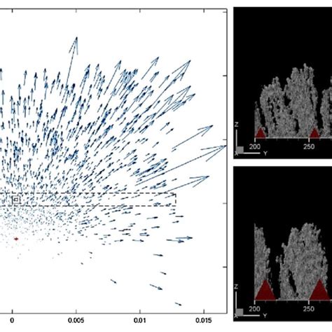 Modeling Of SPS Coating Buildup Left Particle Trajectories Close To