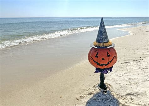 B31 Bus Route: Gerritsen Beach to Kings Highway Schedule 5