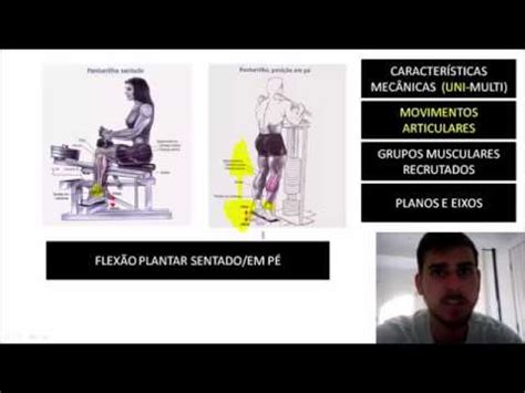 BIOMECÂNICA DA MUSCULAÇÃO DESCRIÇÃO DO EXERCÍCIO PARA PANTURRILHA