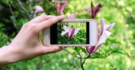 Mobile Photography Tips Tricks Take Photos Like A Pro