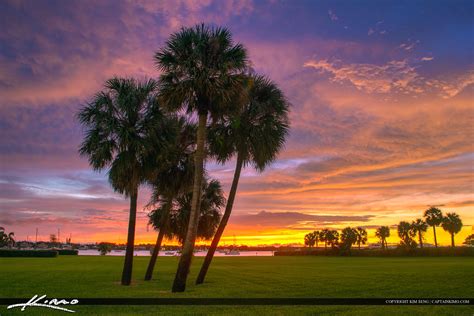 North Palm Beach Sunrise Palm Trees HDR Photography By Captain Kimo