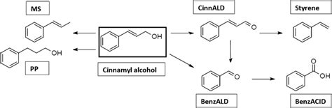 Products Obtained During Oxidation Of Cinnamyl Alcohol Under