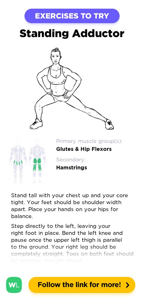 Standing Adductor / Adduction Stretch – WorkoutLabs Exercise Guide