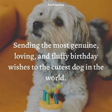 Dog Birthday Quotes Artofit