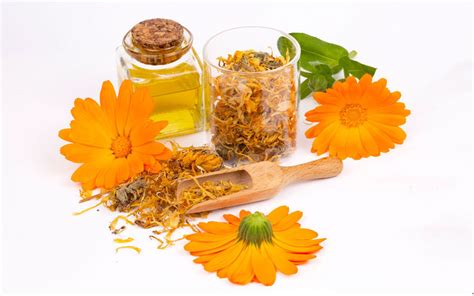 Tutti I Benefici Della Calendula Per La Pelle Dei Bambini Carone