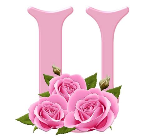 Alfabeto Rosas Cor De Rosa 2 Flower Letters Pink Flowers Pink Roses