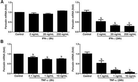 Ifn γ And Tnf α Down Regulated Periostin Expression In Müller Glia In