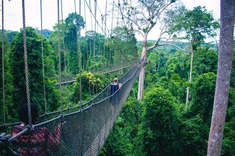 Kakum National Park - Volunteer Overseas with IVI