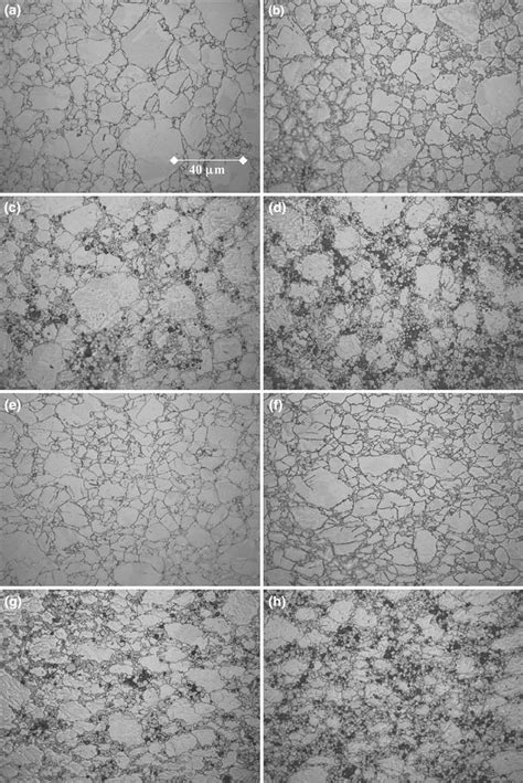 Optical Images Of Composite Microstructures Looking Along Both Axial