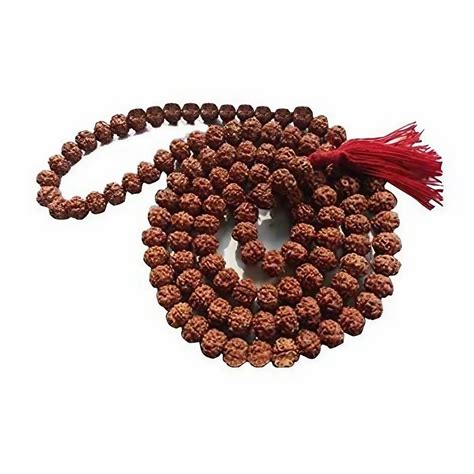 Natural Mukhi Rudraksha Mala Size Mm Shape Round At Rs In