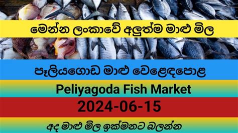 20240615 අද පෑලියගොඩ මාළු වෙළෙඳපොළ තොග මාළු මිල Today Fish Price List