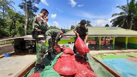 Satgas Yonif Raider 641 Bru Gagalkan Penyelundupan 5 4 Ton Bawang Merah