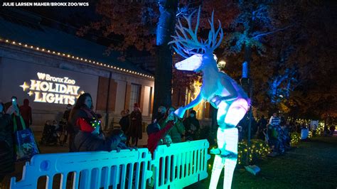 Bronx Zoo Holiday Lights Festival Opens In New York City Abc7 New York